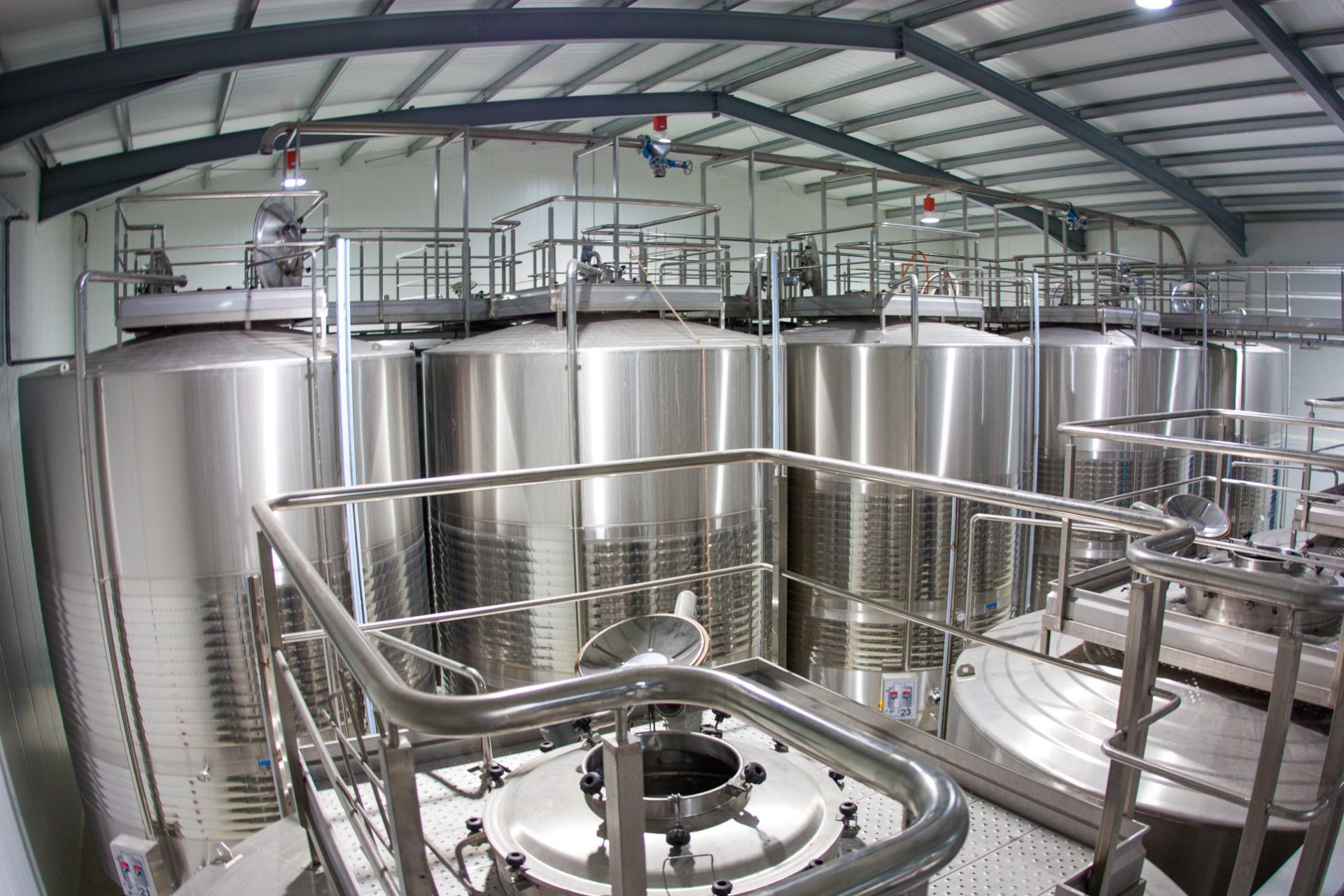 Winery for Sale in Alicante Province (El Pinoso)