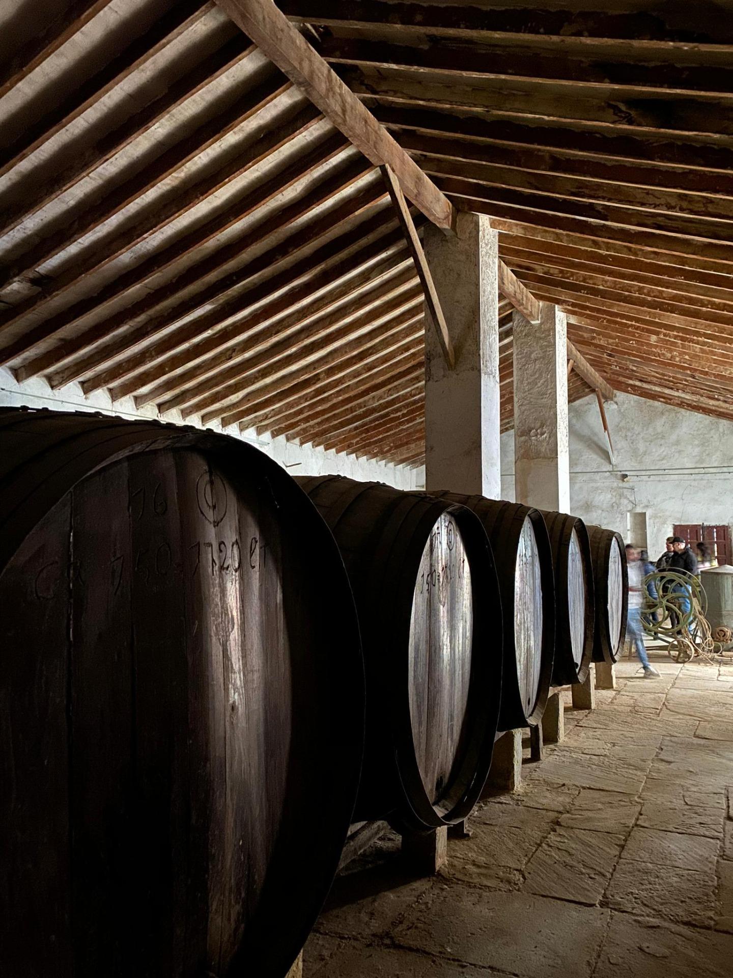 Winery for Sale in Alicante Province (El Pinoso)