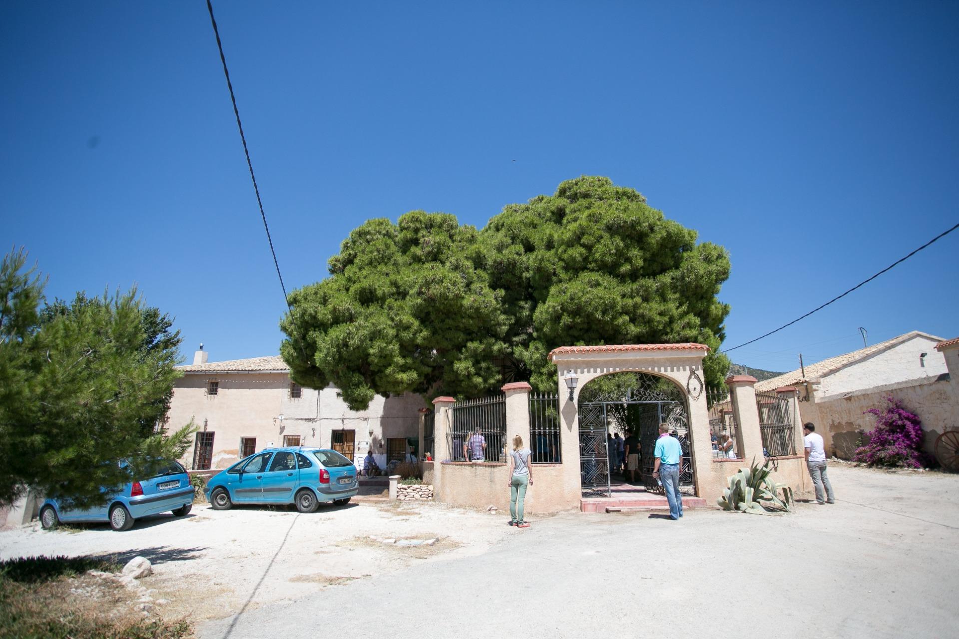 Winery for Sale in Alicante Province (El Pinoso)