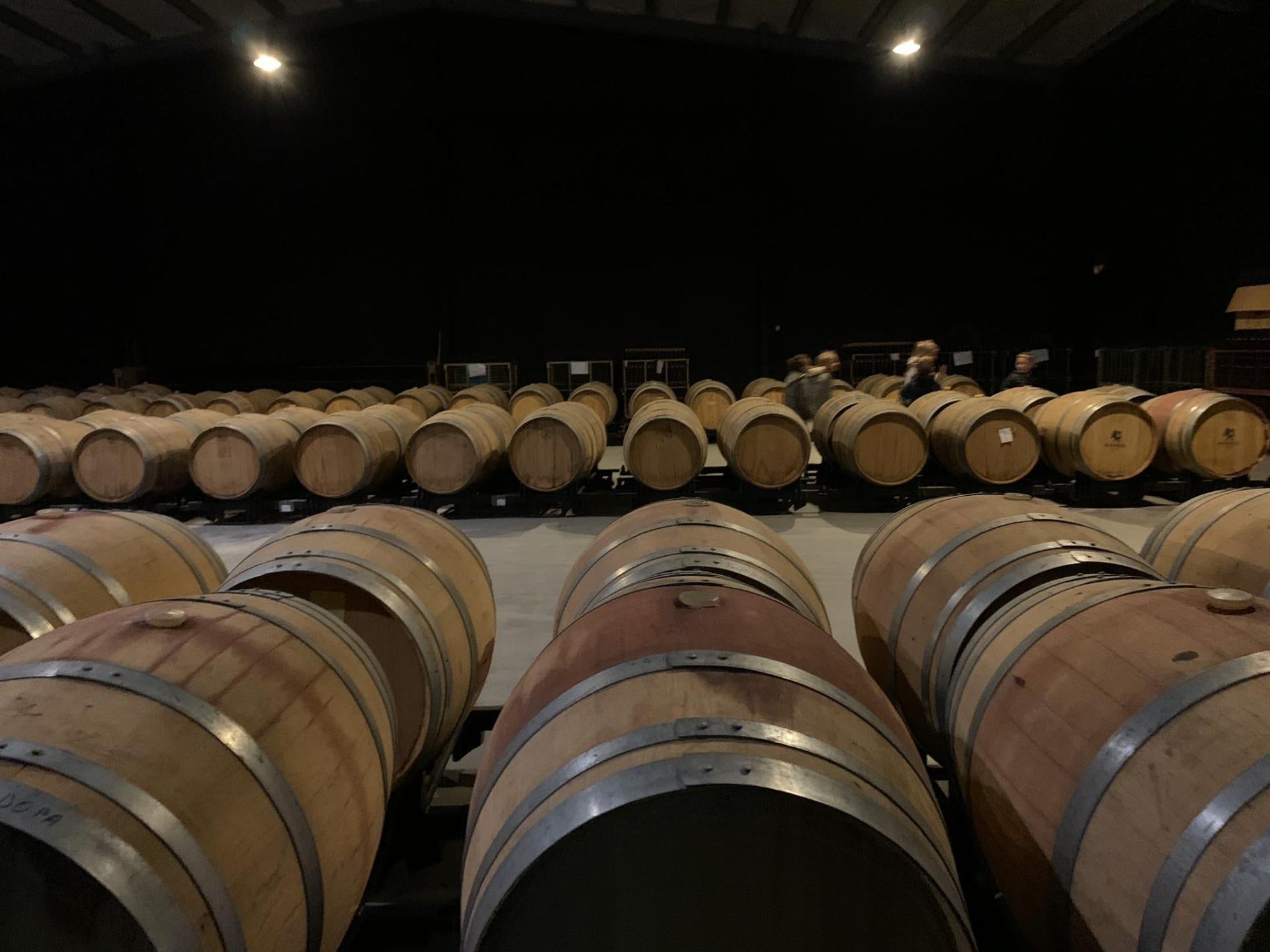 Winery for Sale in Alicante Province (El Pinoso)