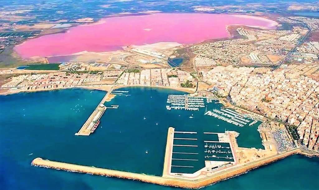 Apartment for Rent in Torrevieja – A Perfect Winter Getaway